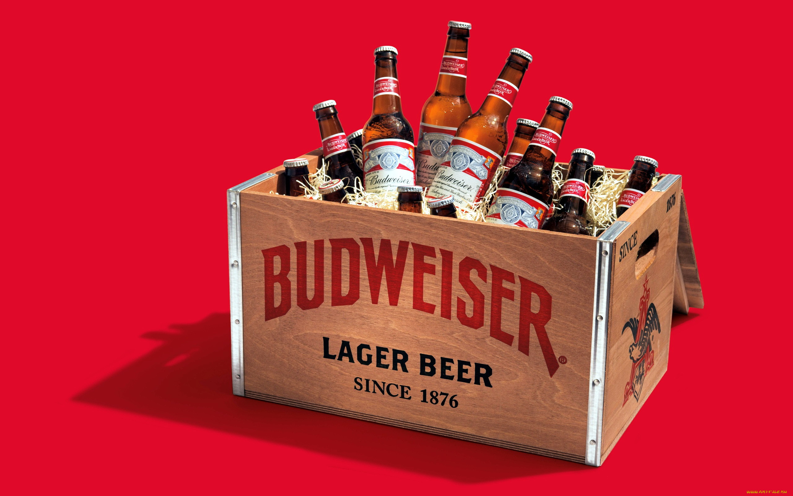 , budweiser, 